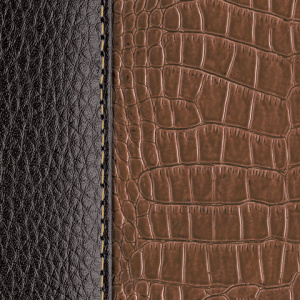 868a7499f3290a14a7f004f4a285d43c_x