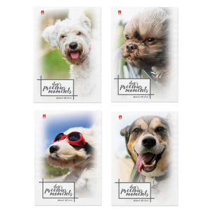 Изображение загружено обработкой