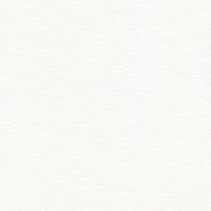 938484415d44cfa73e2c369741b39515_x