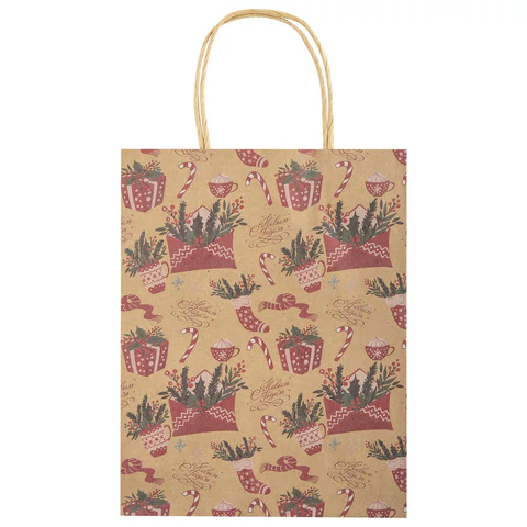 Пакет подарочный КОМПЛЕКТ 10 штук новогодний 18x10x23 см, "Письмо Деду Морозу", ЗОЛОТАЯ СКАЗКА, 592127 - МСК «Форвард»