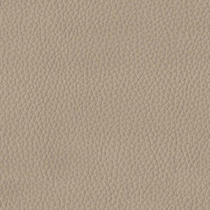 6f0401bc9937872406aec3b8c6cd0f6c_x