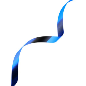 76e7515c16415e46914bd0e2bb9ec684_x