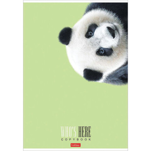 3fbb6390ad7c73cf77b89c42c6c0cb3f_x