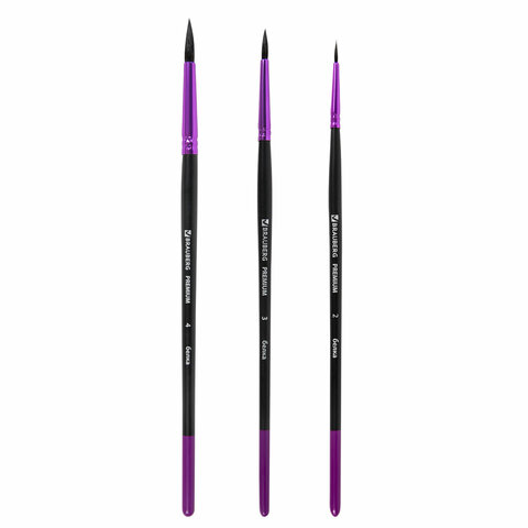 Кисти BRAUBERG PREMIUM, набор 3 шт. (беличьи круглые № 2, 3, 4), блистер, 201020 - МСК «Форвард»