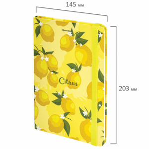 4e4b67dfb11f75017c56c0cb34f218bf_x