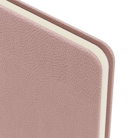 Еженедельник недатированный, B5, 64л., твердый переплет, кожзам, BG "Palm. Ecru pink", розовый 371695 - МСК «Форвард»