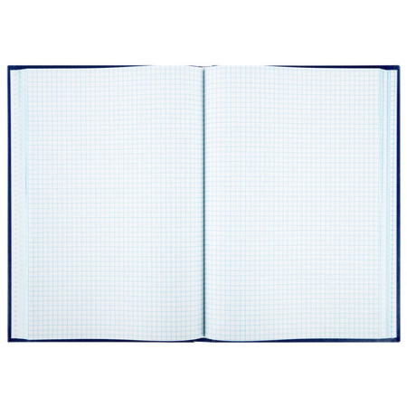 Книга учета 160л, клетка, твердая, бумвинил, блок офсет, А4 (200х290мм), BRAUBERG, 130182 - МСК «Форвард»