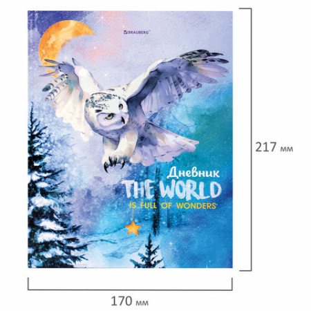 Дневник 1-11 класс 40 л., твердый, BRAUBERG, глянцевая ламинация, "Сова", 106846 ПРОДАЖИ ПРЕКРАЩЕНЫ - МСК «Форвард»