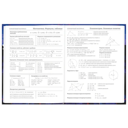 Дневник 5-11 класс 48 л., твердый, BRAUBERG, глянцевая ламинация, с подсказом, "DELIGHT", 106864 - МСК «Форвард»