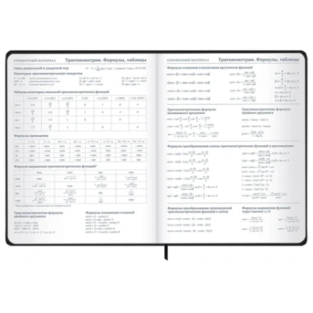 Дневник 1-11 класс 48 л., твердый, BRAUBERG, матовая ламинация, резинка, закладка-ляссе, с подсказом, "Элементы", 107242 - МСК «Форвард»