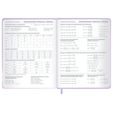 Дневник 1-11 класс 48 л., обложка кожзам (твердая с поролон), 3D-элемент, BRAUBERG, "Суровый кот", 107221 - МСК «Форвард»