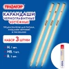 Карандаши чернографитные чертежные школьные разной твердости, НАБОР 3 штуки: Н, НВ, B, ПИФАГОР, 181998 - МСК «Форвард»