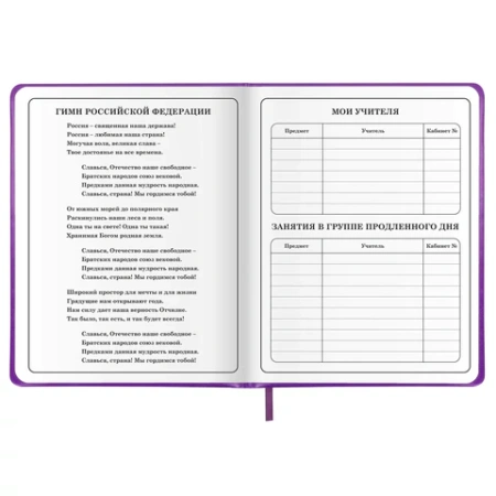 Дневник 1-4 класс 48 л., кожзам (твердая с поролоном), печать, аппликация, ЮНЛАНДИЯ, "Собачка", 106937 - МСК «Форвард»