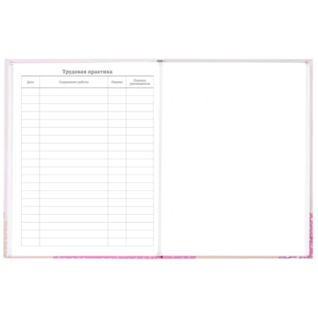 Дневник 5-11 класс 48 л., твердый, BRAUBERG, глянцевая ламинация, с подсказом, "Летний", 106631 - МСК «Форвард»