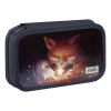 Пенал 2 отделения, 190*110 ArtSpace "The Magic Fox", ламинированный картон, фольга ПК11_П110004 380238 - МСК «Форвард»