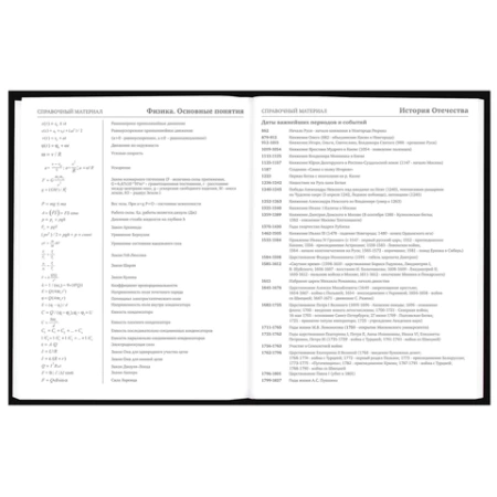 Дневник 5-11 класс 48 л., твердый, BRAUBERG, выборочный лак, с подсказом, "Dragon", 107195 - МСК «Форвард»