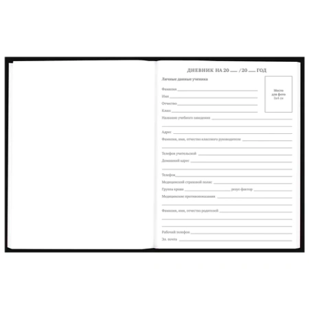 Дневник 5-11 класс 48 л., твердый, BRAUBERG, выборочный лак, с подсказом, "Dragon", 107195 - МСК «Форвард»