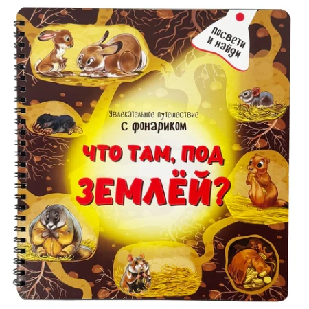 Книжка с фонариком "Познаю мир", КОМПЛЕКТ 6ШТ 210х230 мм, 12 страниц, АССОРТИ, Бимбимон 691202 - МСК «Форвард»