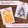 Набор вырубок для печенья новогодний 3 шт., "Елочки", нержавеющая сталь, рецепт, ЗОЛОТАЯ СКАЗКА, 592494 - МСК «Форвард»