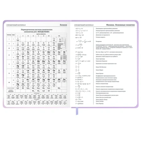 Дневник 1-11 класс 48 л., обложка кожзам (твердая с поролон), 3D-элемент, BRAUBERG, "Суровый кот", 107221 - МСК «Форвард»