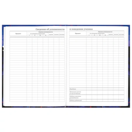 Дневник 5-11 класс 48 л., твердый, BRAUBERG, глянцевая ламинация, с подсказом, "DELIGHT", 106864 - МСК «Форвард»