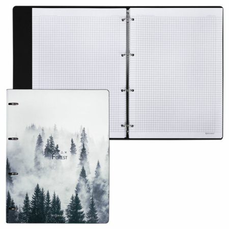 Тетрадь на кольцах БОЛЬШАЯ А4 (240х310 мм), 120 л., под кожу, BRAUBERG VISTA, "Туман", 404515 - МСК «Форвард»