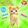 Игрушка-антистресс МЕГА СКВИШ "Супер котик", 20 см, JOLLY JOT (ДЖОЛЛИ ДЖОТ), 665819 - МСК «Форвард»