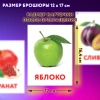 Карточки Домана, 8 развивающих брошюр по методике ГЛЕННА ДОМАНА, 145 изображений, ЮНЛАНДИЯ, 691022 - МСК «Форвард»
