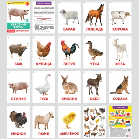 Карточки Домана, 8 развивающих брошюр по методике ГЛЕННА ДОМАНА, 145 изображений, ЮНЛАНДИЯ, 691022 - МСК «Форвард»