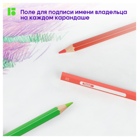 Карандаши цветные Berlingo "SuperSoft. Замки", 12цв., заточен., картон, европодвес SS00112 297230 - МСК «Форвард»