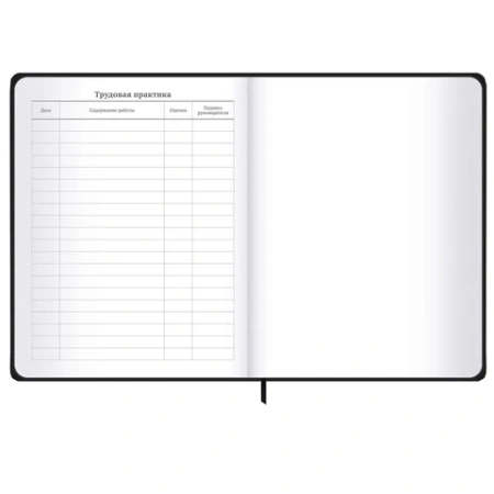Дневник 1-11 класс 48 л., твердый, BRAUBERG, матовая ламинация, резинка, закладка-ляссе, с подсказом, "Элементы", 107242 - МСК «Форвард»
