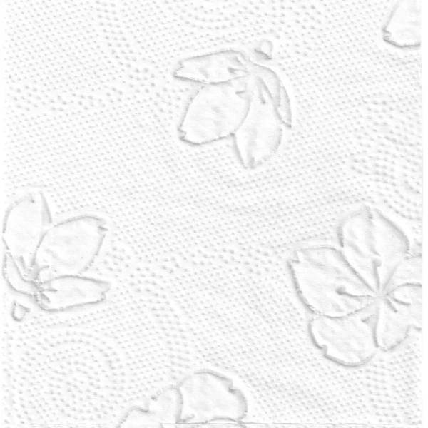 Бумага туалетная 3-слойная 8 рулонов Plushe Deluxe Light Классическая белая 11954 2017508 - МСК «Форвард»