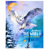 Дневник 1-11 класс 40 л., твердый, BRAUBERG, глянцевая ламинация, "Сова", 106846 ПРОДАЖИ ПРЕКРАЩЕНЫ