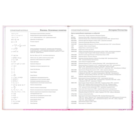 Дневник 5-11 класс 48 л., твердый, BRAUBERG, глянцевая ламинация, с подсказом, "Летний", 106631 - МСК «Форвард»