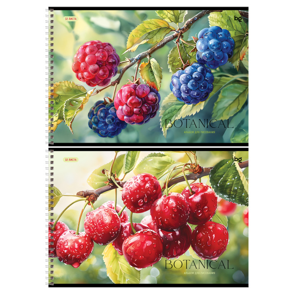 Альбом для рисования 32л., А4, на гребне BG "Ягодный" 100г/м2 АР4гр32 08638 378708