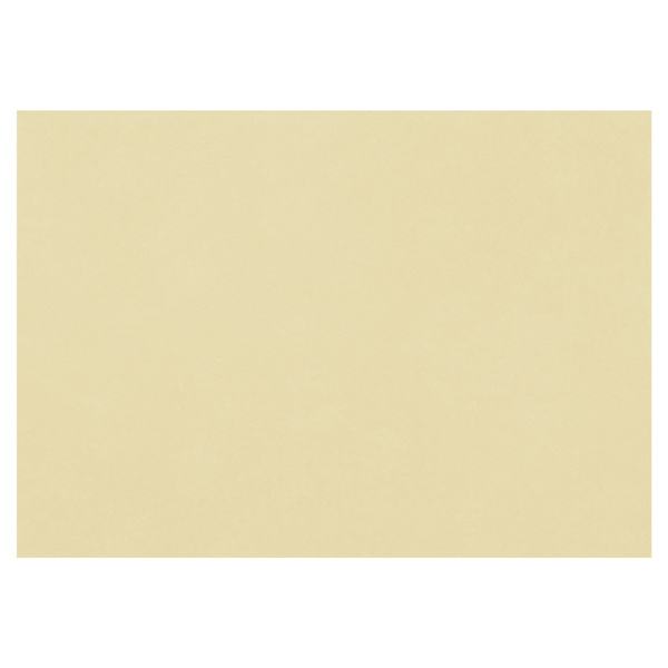 Бумага для пастели (1 лист) FABRIANO Tiziano А2+(500*650мм), 160г/м2, песочный, 52551006 129948