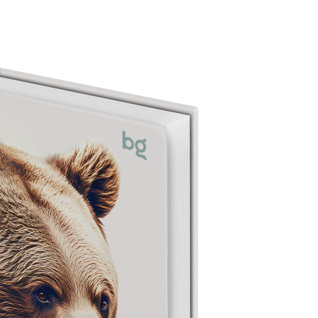 Ежедневник недатированный А5, 136л., 7БЦ, BG " Достопримечательности России", глянцевая ламинация 388507 - МСК «Форвард»