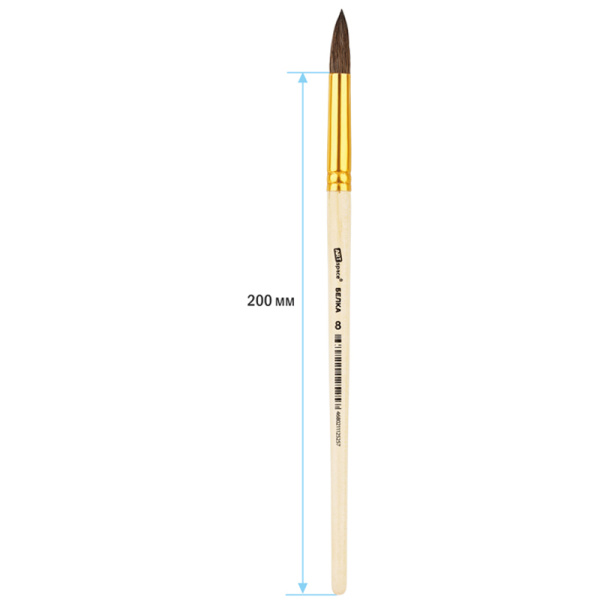 Кисть белка, ArtSpace, круглая №08, пакет, европодвес КОМПЛЕКТ 10 шт SH8_14525 249567 - МСК «Форвард»
