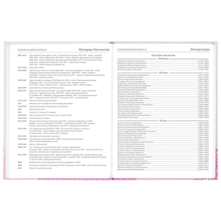 Дневник 5-11 класс 48 л., твердый, BRAUBERG, глянцевая ламинация, с подсказом, "Летний", 106631 - МСК «Форвард»