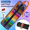 Карандаши цветные супермягкие яркие классические в пенале-скрутке BRAUBERG MAX 50 цветов + держатель и точилка, натуральное дерево, 182007 - МСК «Форвард»