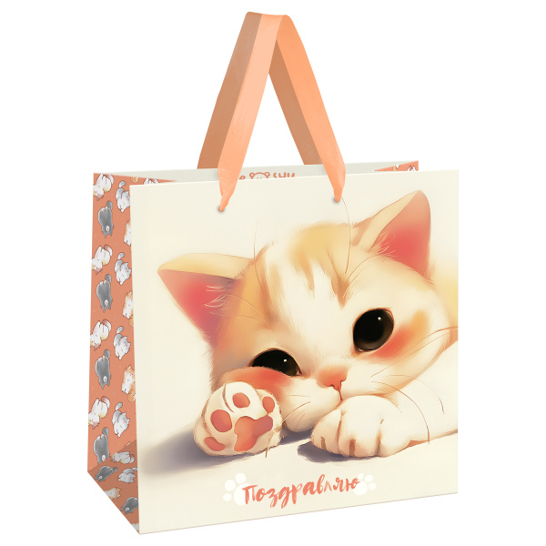 Пакет подарочный 20*20*10см MESHU "Lovely kitten", матовая ламинация MS_66230 382371 - МСК «Форвард»
