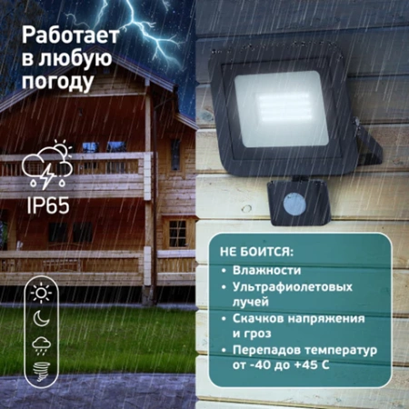 Прожектор светодиодный ЭРА, датчик движения, 20(175) Вт, 6500К, 1600 Лм, IP65, черный, LPR-041-2-65K-020, Б0043585 238230 - МСК «Форвард»