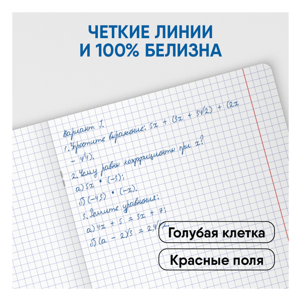 Тетрадь 48л., А5, клетка BG "Летний десерт",  КОМПЛЕКТ 4 ШТ матовая ламинация Т5ск48_лм 11058  342093 - МСК «Форвард»