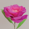 2eedcbf9adbe40e0839ecacef08bf682_x