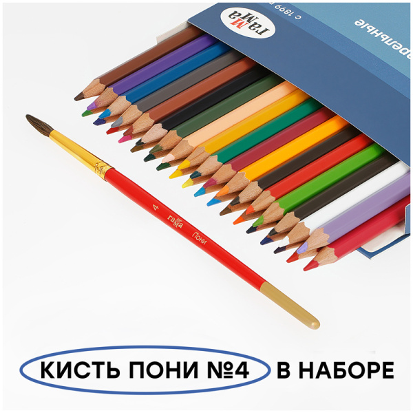 Карандаши акварельные Гамма "Лицей", 36цв., шестигранные, заточен., с кистью, картон. упаковка, европодвес 221118_05 286565  - МСК «Форвард»
