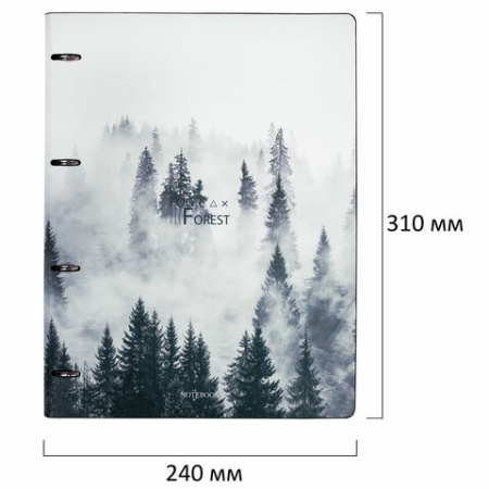 Тетрадь на кольцах БОЛЬШАЯ А4 (240х310 мм), 120 л., под кожу, BRAUBERG VISTA, "Туман", 404515 - МСК «Форвард»