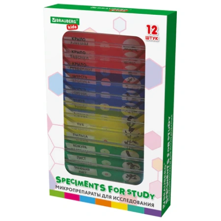 Микроскоп с подсветкой в кейсе, 74 предмета, в т.ч. набор из 16 микропрепаратов в подарок, увеличение 300х,600х,1200х, BRAUBERG KIDS, 391399 - МСК «Форвард»