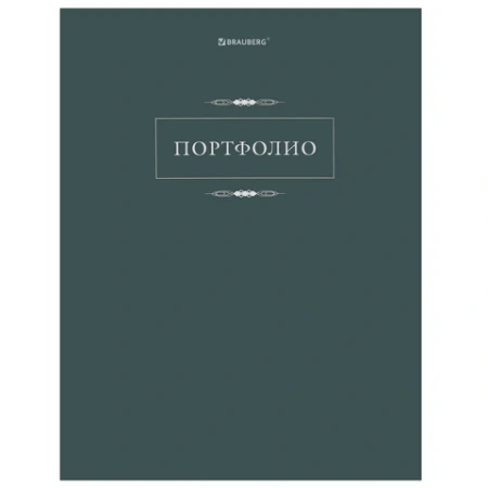 Папка-портфолио универсальная, 4 кольца, 20 файлов, 7БЦ матовая, BRAUBERG "Classic", 117554 - МСК «Форвард»
