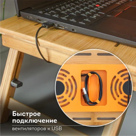 Столик БАМБУКОВЫЙ складной для ноутбука/завтрака, с охлаждением, DASWERK (ДАСВЕРК), 532583 - МСК «Форвард»
