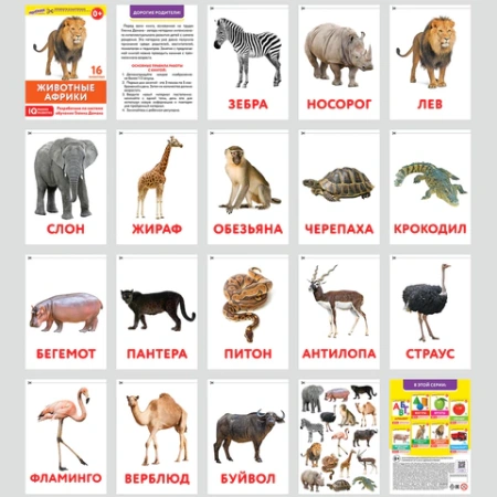 Карточки Домана, 8 развивающих брошюр по методике ГЛЕННА ДОМАНА, 145 изображений, ЮНЛАНДИЯ, 691022 - МСК «Форвард»